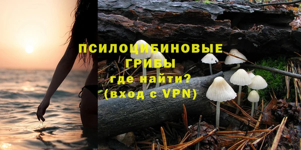 стафф Богородицк