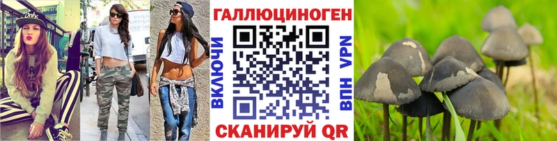 Псилоцибиновые грибы Psilocybine cubensis  закладки  Менделеевск 